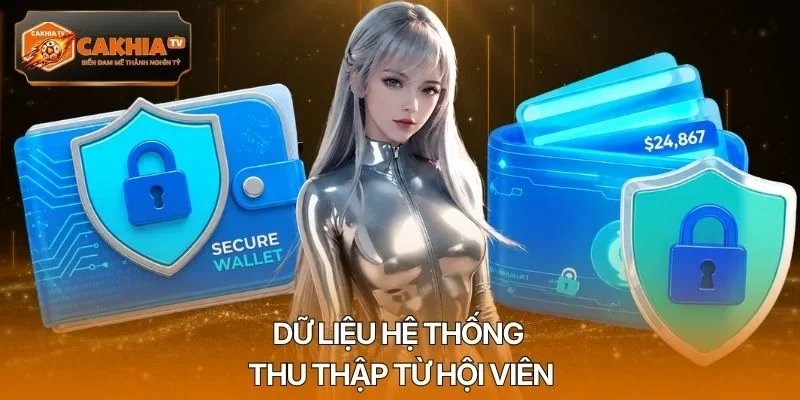 Dữ liệu hệ thống thu thập từ hội viên