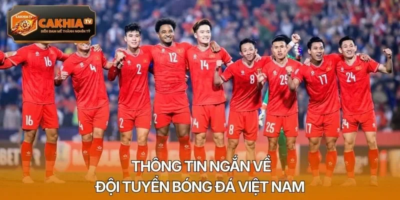 Thông tin ngắn về đội tuyển bóng đá Việt Nam